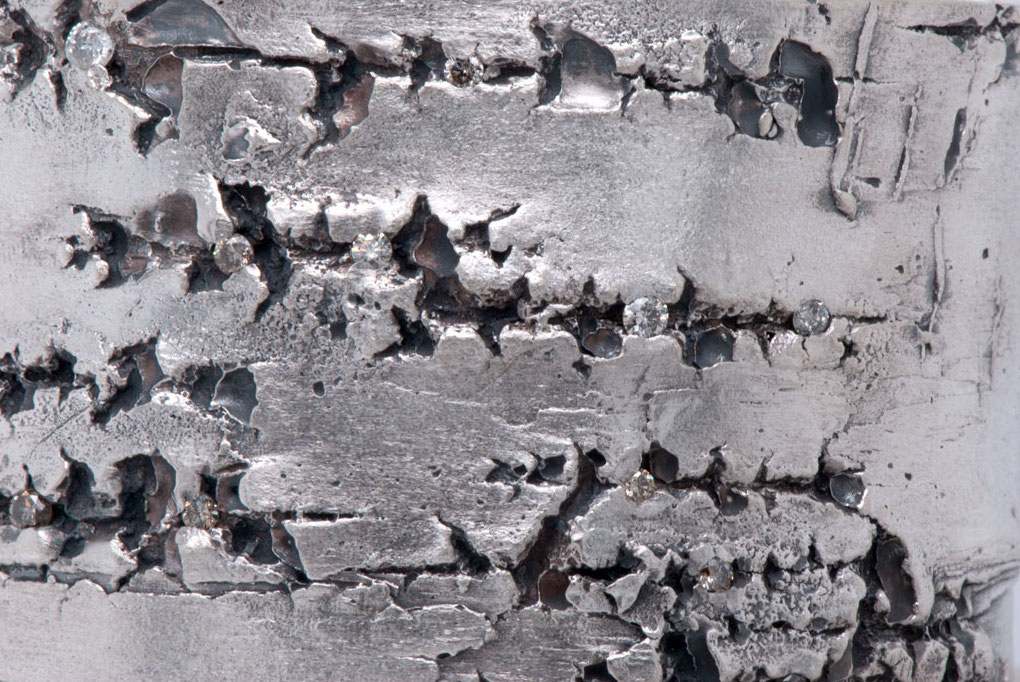 close up of silver birch bark texture in silver and diamonds